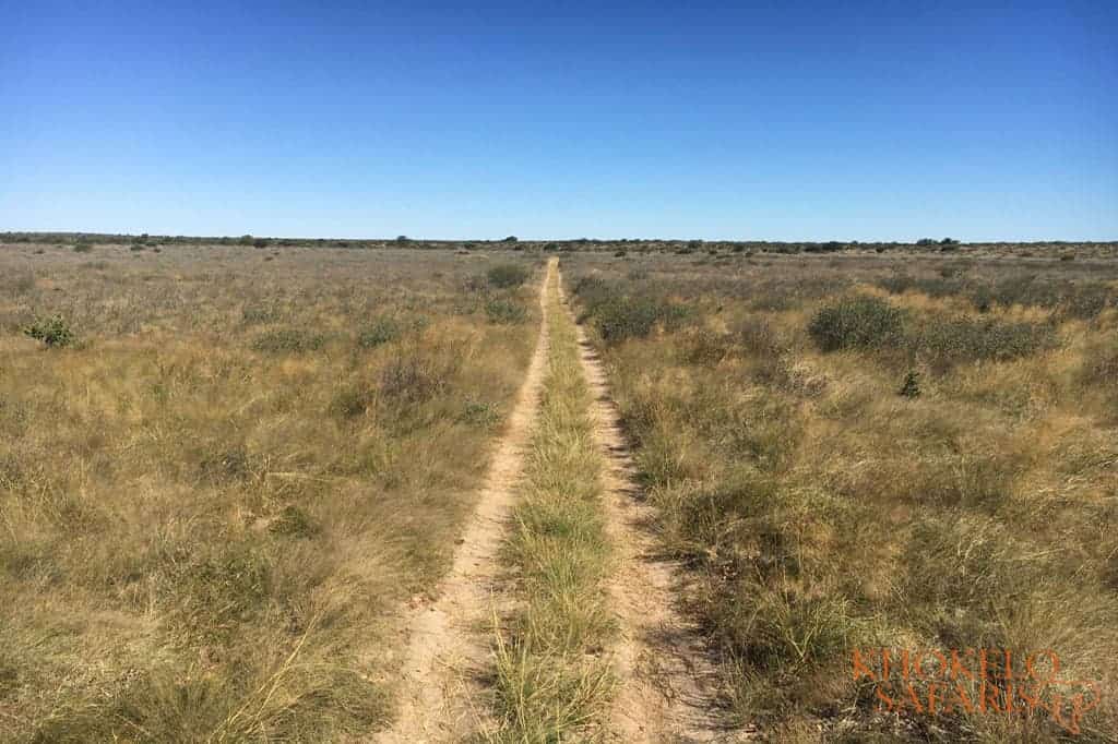 CKGR Selfdrive Botswana