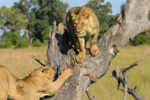 Beste locaties in Zambia