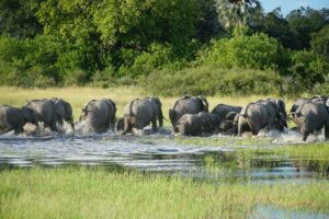 Top 5 locaties in Zambia