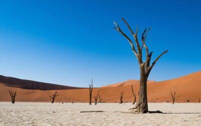 Toegangskosten 2025 nationale parken in Namibië